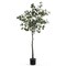 Eucalyptus Tree - Artificial Trees for Home Decor Indoor, Floor Plants for Living Room Decor, Faux Plants Indoor Tall, Faux Eucalyptus Tree, Artificial Plants for Home Decor Indoor - 6 Feet